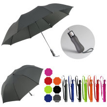 2 Folding Auto Open Pure Color Golf Umbrella